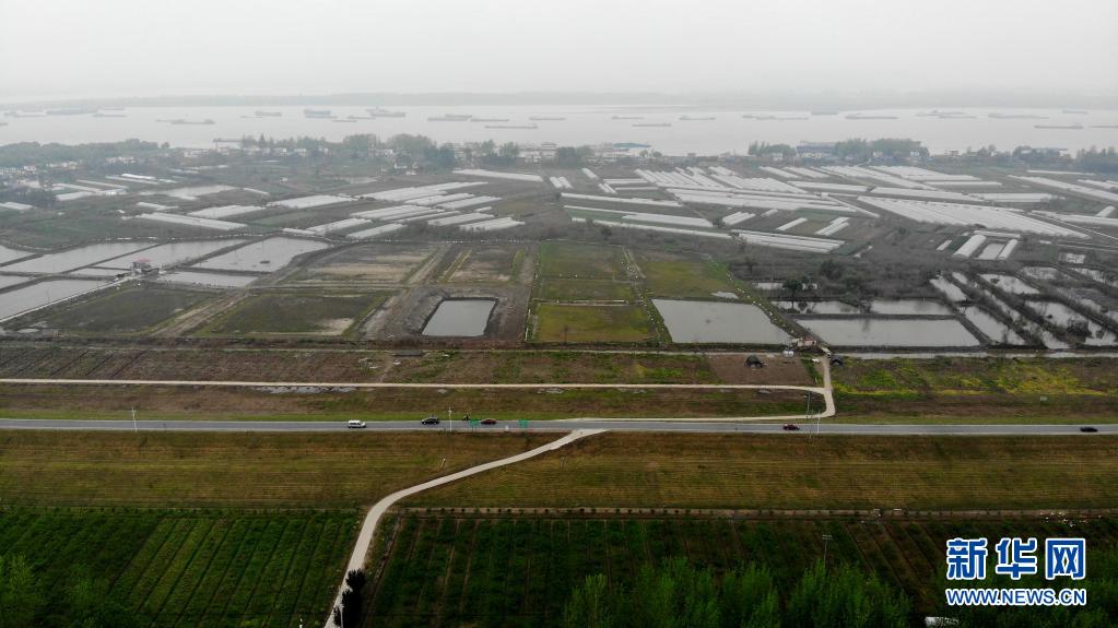 百万雄师身后,是千千万万的人民——写在渡江战役胜利