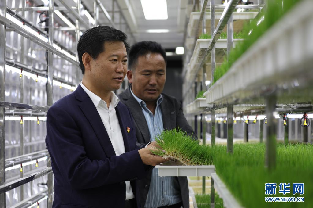 张峰:多做打基础,谋长远的好事实事