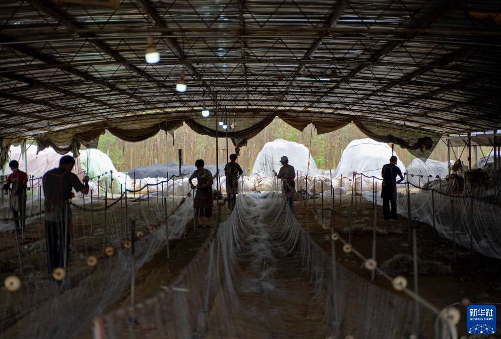 9月24日,乐亭县姜各庄镇周三村一家渔网加工厂的工人在编织渔网.