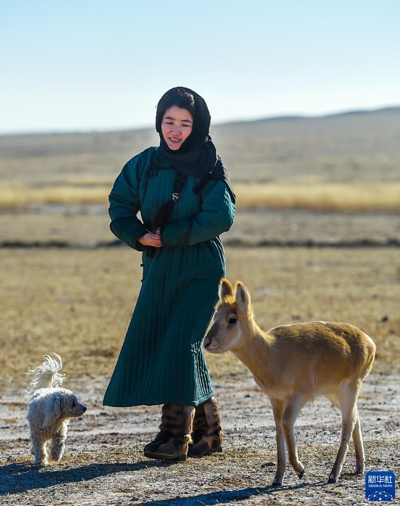 黄羊"妈妈"乌伊汗:守护草原精灵-新华网