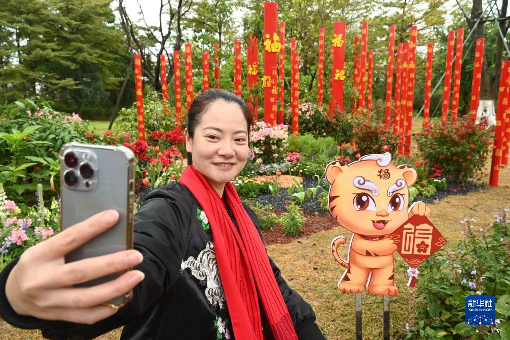 福建福州福虎元素欢庆春节