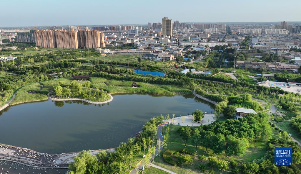 近年来,黄河西岸的陕西省渭南市合阳县牢固树立"绿水青山就是金山银山