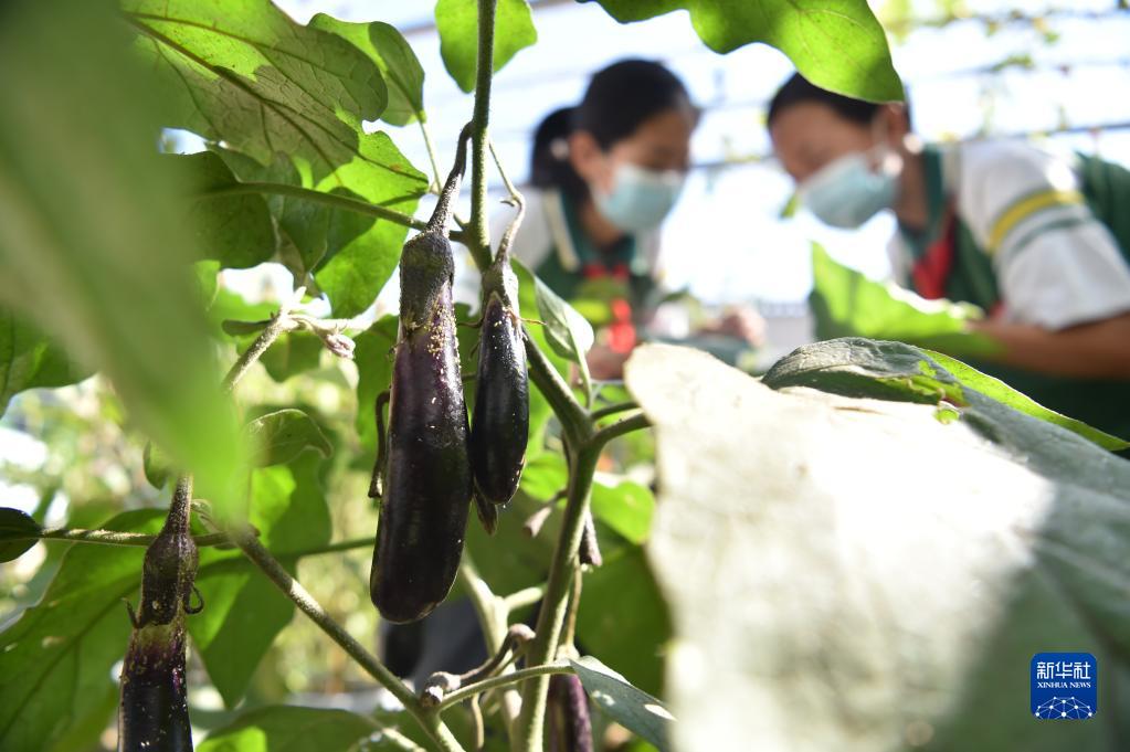 各地学校,科技馆等开展一系列精彩纷呈的科普活动,让孩子们感受科技