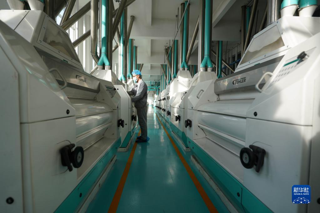 河北柏乡:面粉加工企业生产忙-新华网