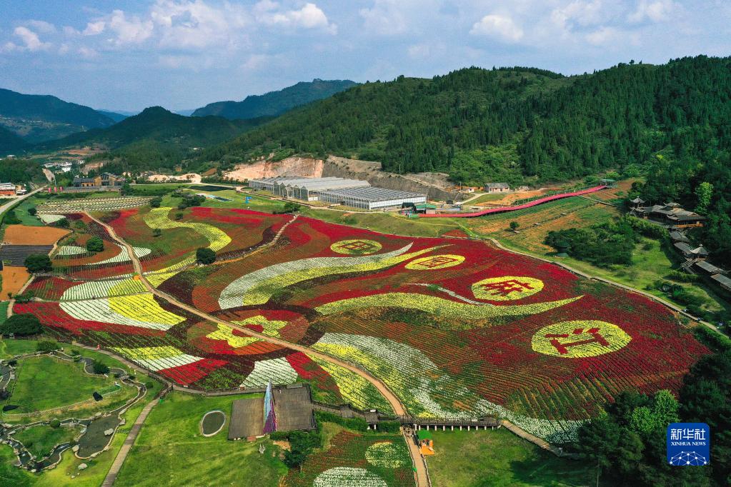 贵州麻江:以花为"媒"激活乡村旅游-新华网