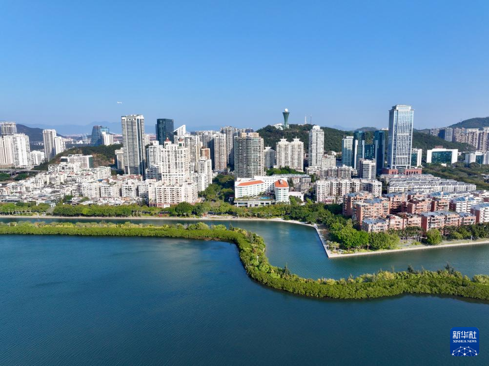 福建厦门：红树林构筑滨海绿色长廊_中国经济网——国家经济门户