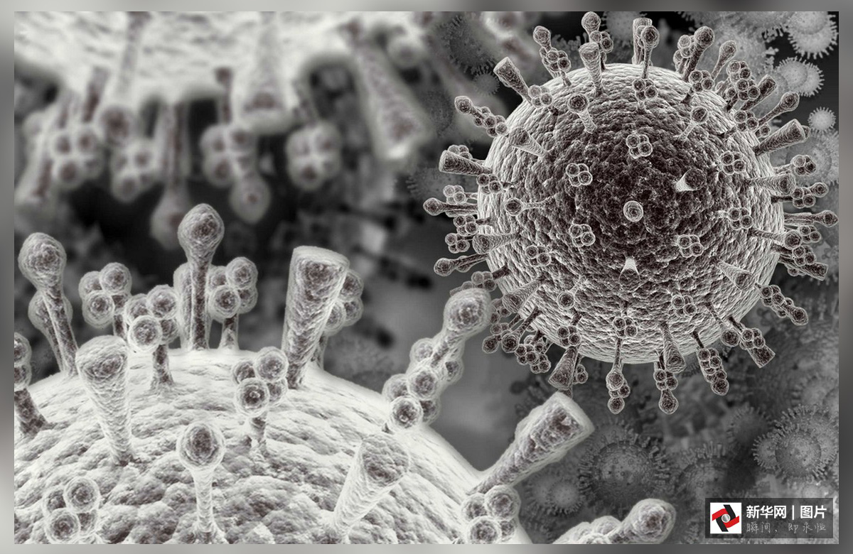 致命的美丽:显微镜下的病毒粒子-百态