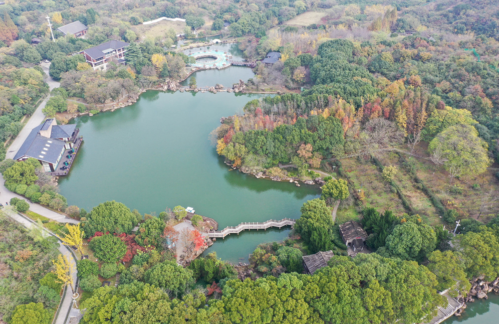 江苏苏州:冬日五彩白马涧