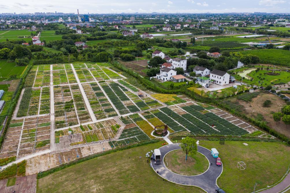 浙江嘉兴:美丽乡村推进生态环境建设