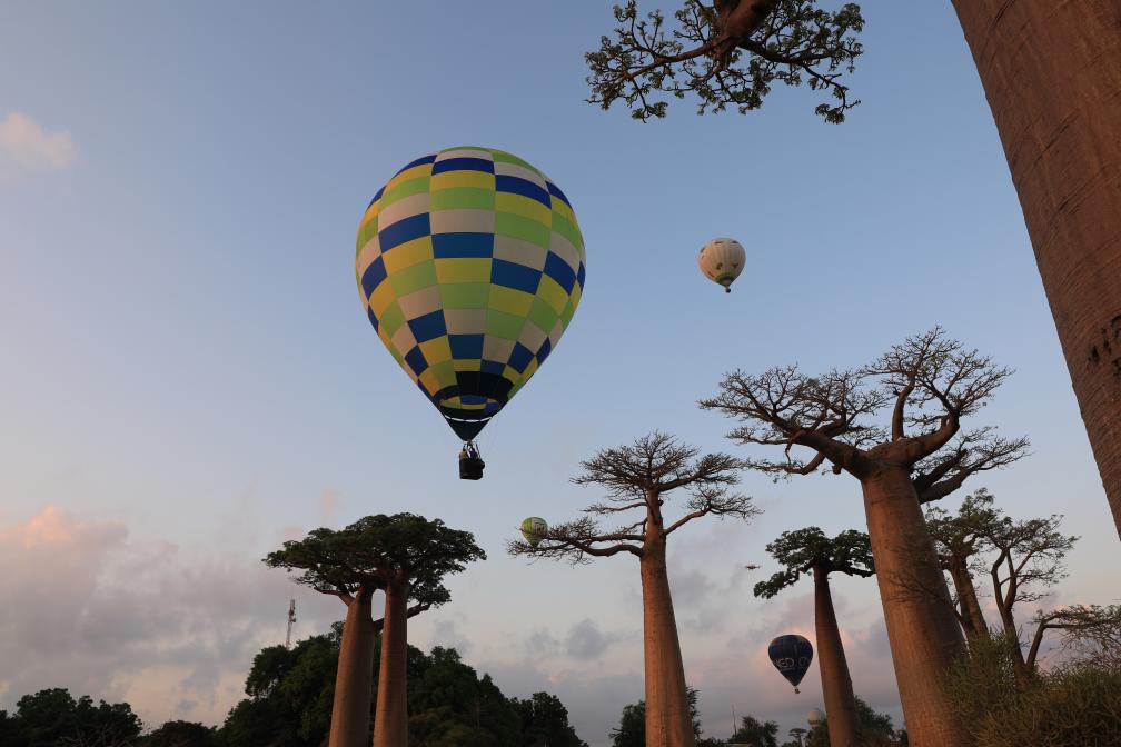 马达加斯加:猴面包树与热气球