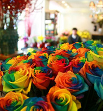 情人节永生花成新宠