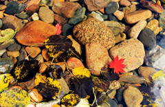 秋意浓&mdash;&mdash;全国各地唯美秋景盘点