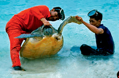 魂牵梦萦 南海史话
