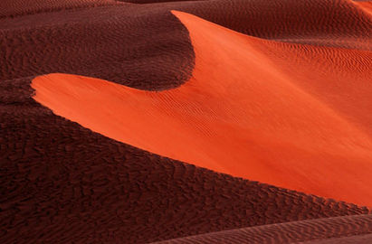 &ldquo;大美中国&rdquo; 走进塔克拉玛干 感受沙漠神韵