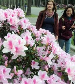 【美丽中国】台北&ldquo;春天里&rdquo;