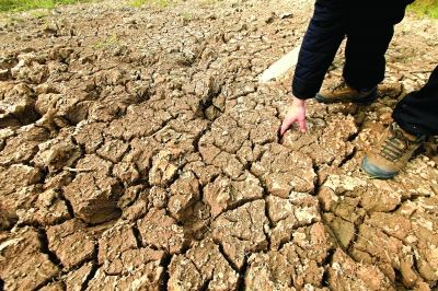 长江中下游频现独特枯水景观(图)