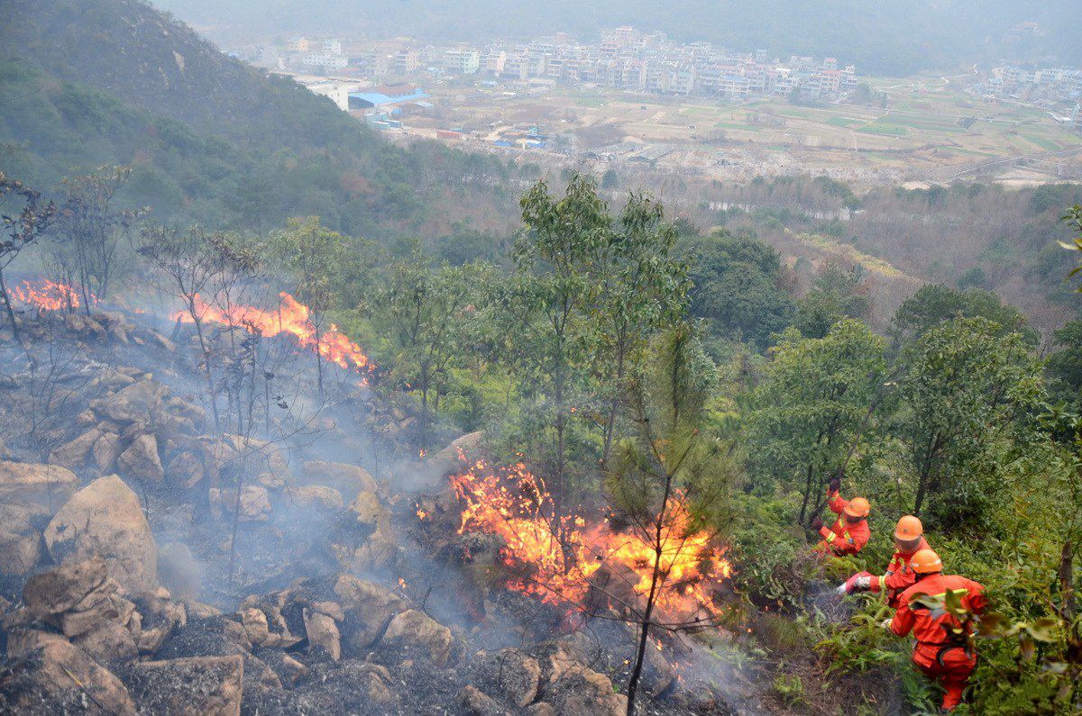 浙江温岭多处山林大火数百消防员上山灭火