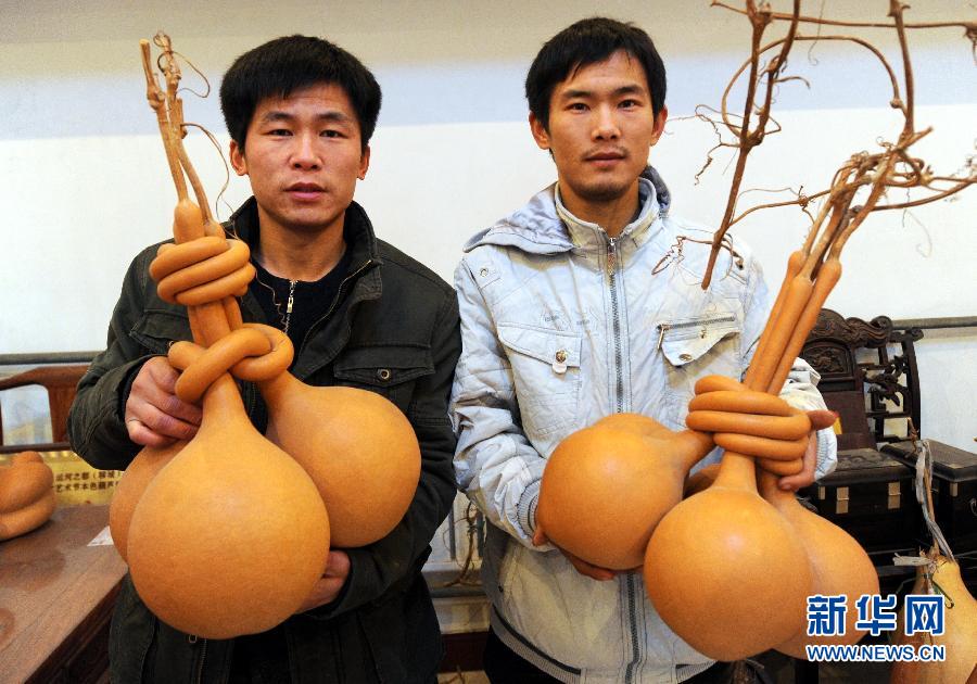（新华网）&ldquo;80后&rdquo;小伙的&ldquo;葫芦梦&rdquo;