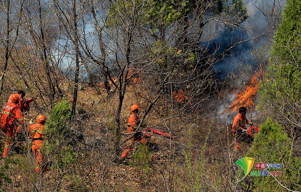 河北承德发生森林火灾
