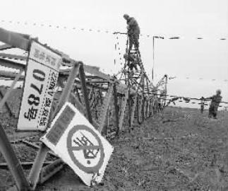 吉林通榆遭遇龙卷风：三轮车吹上树彩钢房飞出墙（图）（4）