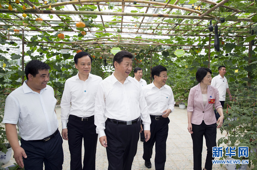  6月16日至18日，中共中央总书记、国家主席、中央军委主席习近平在贵州调研。这是16日下午，习近平在遵义县枫香镇花茂村视察现代高效农业智能温控大棚。 新华社记者黄敬文摄