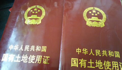 国有土地使用证记者 孙继斌7月10日上午,青海省花宝蜂业股份合作公司