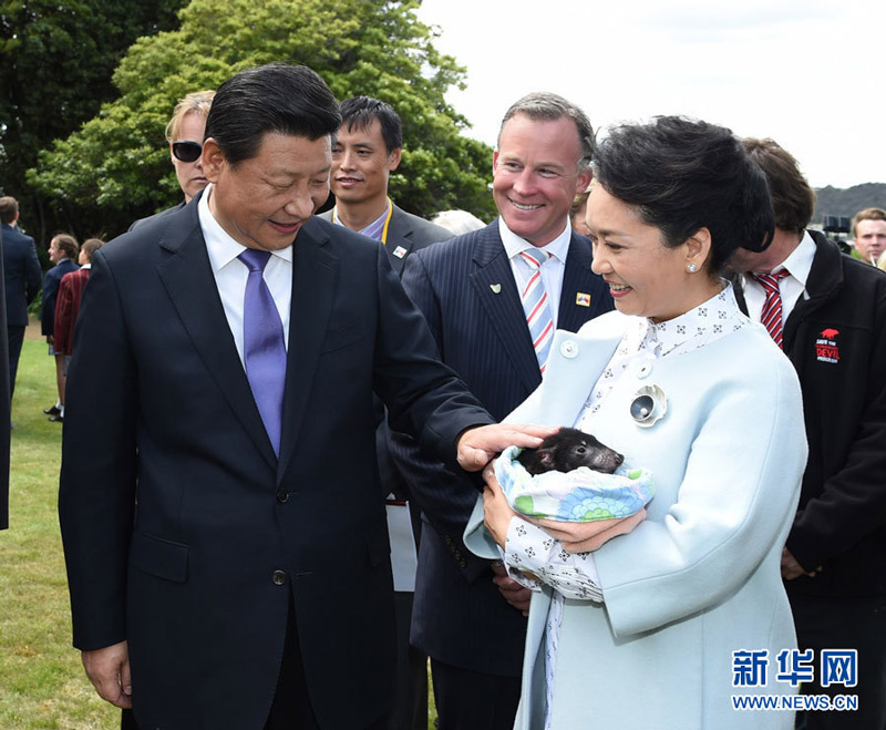 组图：10张图带你领略习大大的国际风采