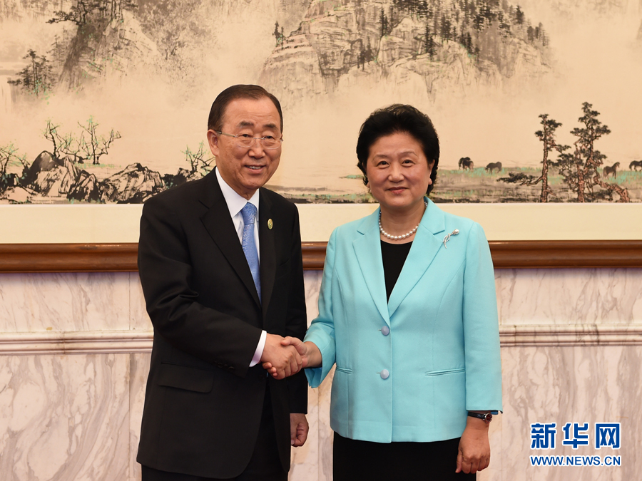刘延东会见联合国秘书长潘基文_图片频道_新华网