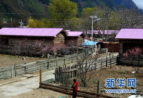     广西南宁市第四人民医院50岁的壮族护士长杜丽群在给老年患者做日常护理（2011年11月30日摄）。金秋十月，水天澄碧。在中华人民共和国第66个国庆日到来前夕，习近平总书记在人民大会堂亲切会见了13位民族团结优秀代表，向他们致以节日的祝贺，勉励他们继续当好民族团结的使者。新华社记者周华摄