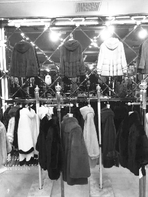 貂皮大衣价格连降三年消费者：现在都注重环保了