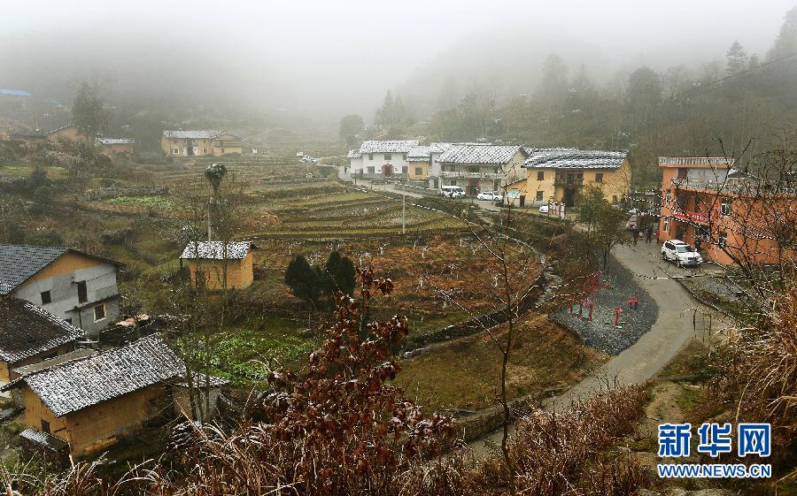 这是井冈山市茅坪乡神山村全景，全村54户中有13户贫困户（2月2日摄）。新华社记者 万象 摄