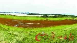 广东肇庆一排水站排污 大片草地变黄褐色