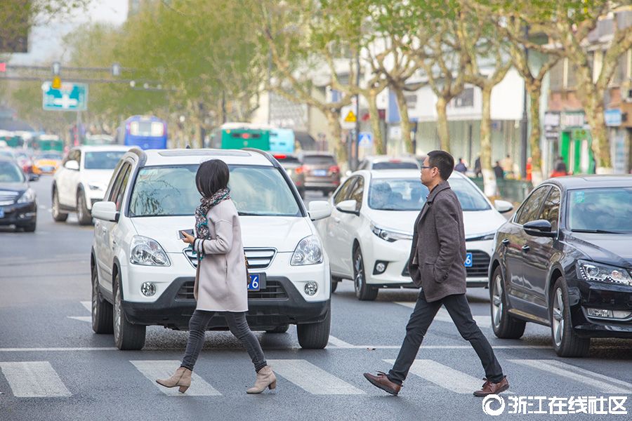 杭州斑马线前车辆礼让行人蔚然成风
