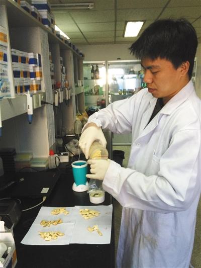 媒体探访干制蔬菜：5种样品4种二氧化硫超标(图)