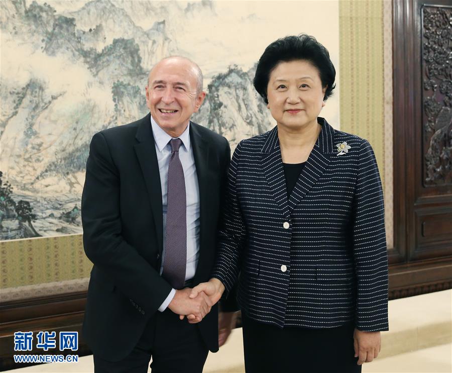 刘延东会见法国里昂市长