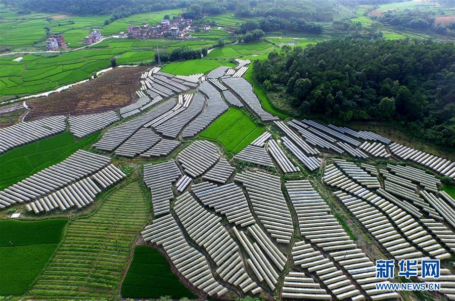 建党95周年光辉历程打赢脱贫攻坚战