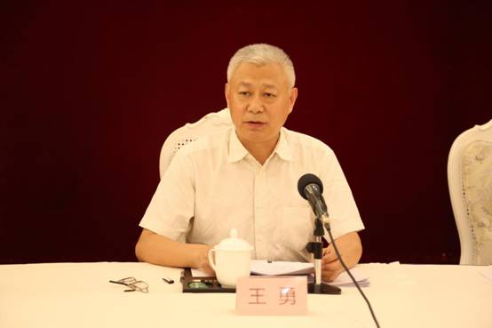 海南省政协副主席,省委统战部部长 王勇