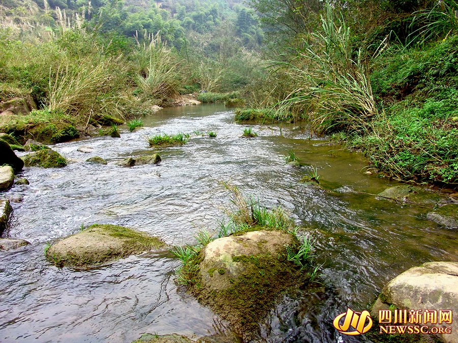 巴中平昌驷马河湿地公园-新华网
