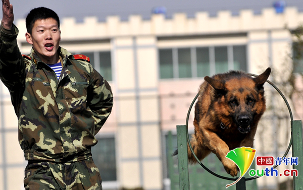 驻索马里武警战士张楠牺牲一周年 父母:以后去拥军