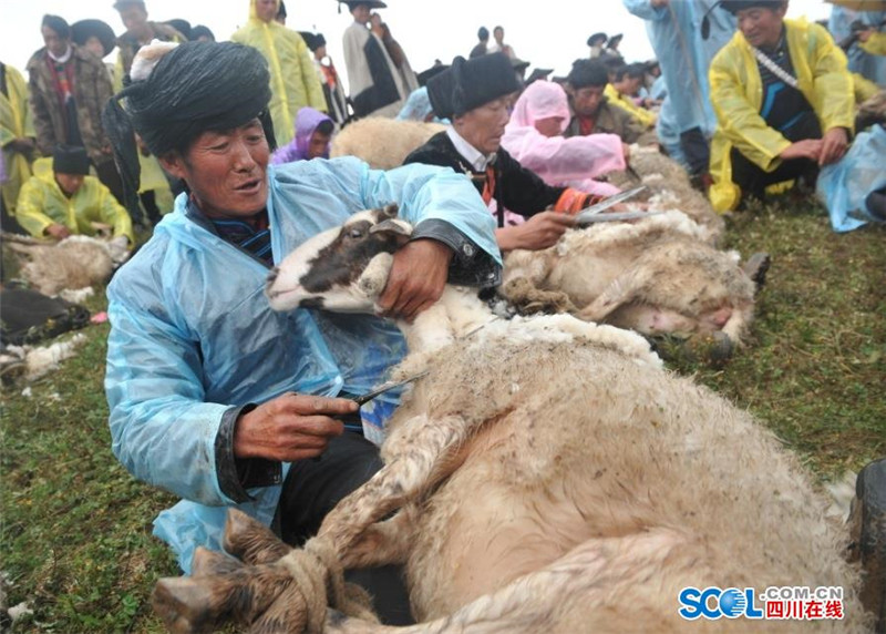 8月2日至4日,凉山州美姑县彝族群众为期三天的"剪羊毛节"民俗活动