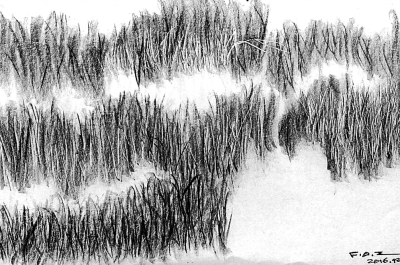 草原深处(速写)-新华网