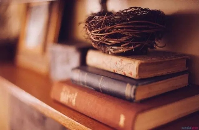 读书和终生学习,是我们提高自己的知识,眼界和人格的最佳途径.