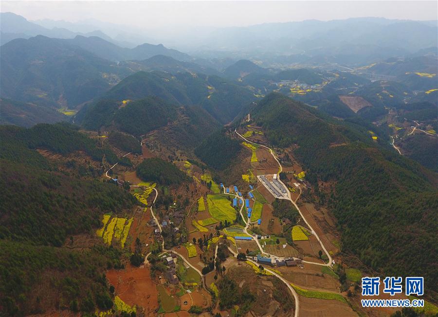 一个大巴山区贫困村的巨变