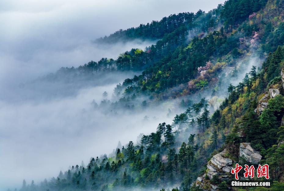 江西庐山现壮美云海景观
