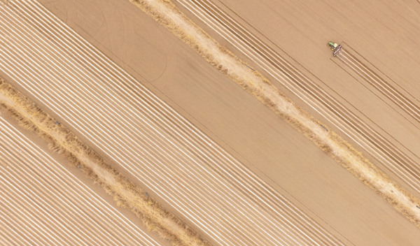【纪检人·镜头】库车:沙漠绿洲耕田忙