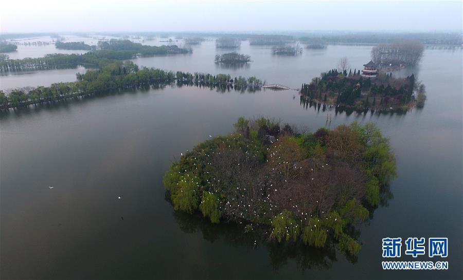 (环境)(1)大别山区的天然“水利博物馆”