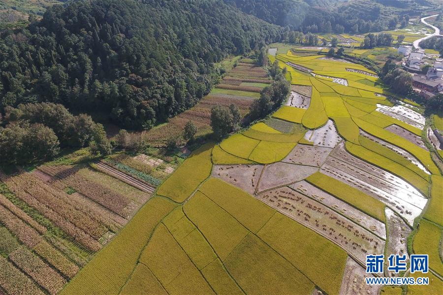 云南省曲靖市马龙县张安屯街道共有耕地10713亩.