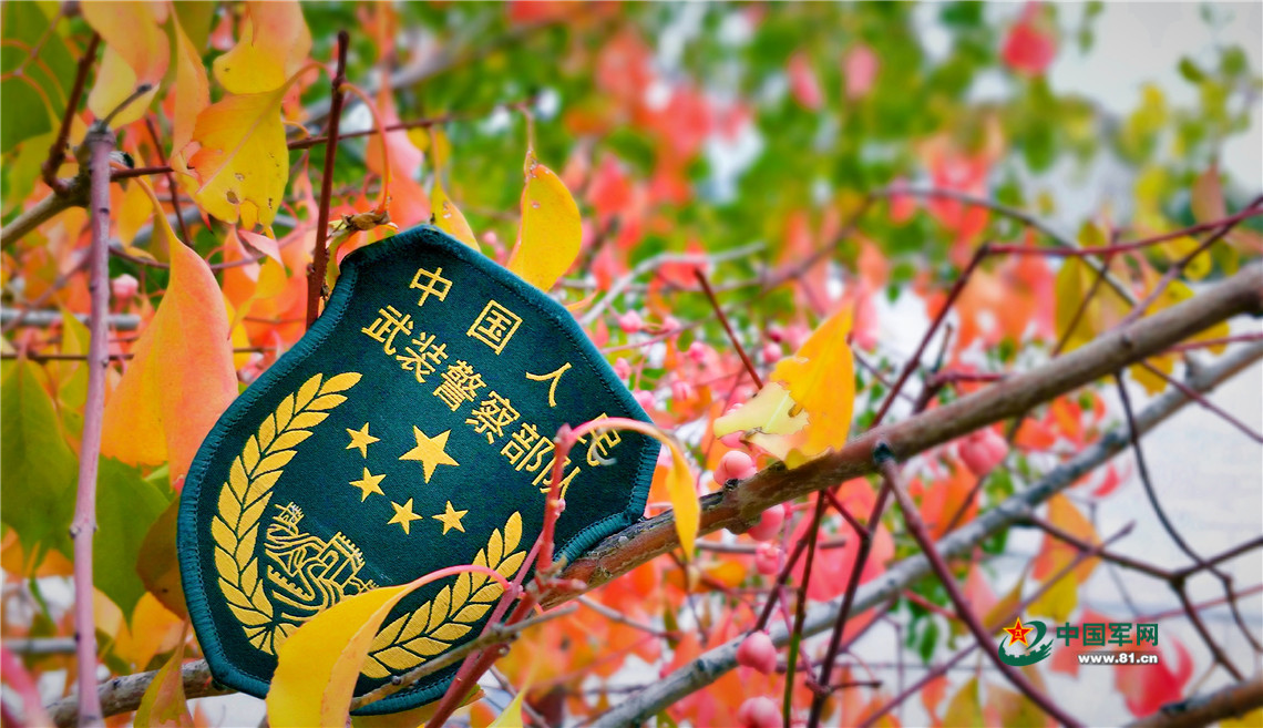 臂章也来看看枫叶.