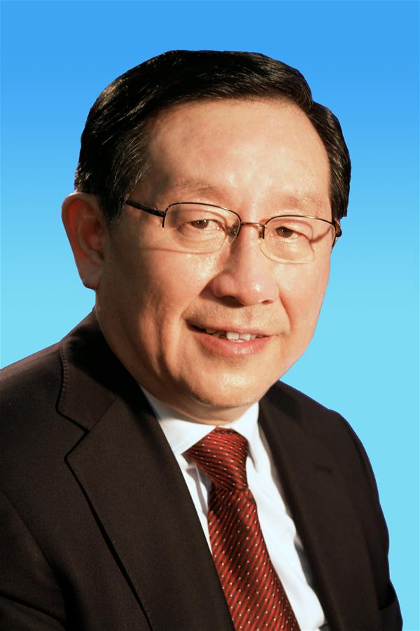 中国致公党中央主席万钢像