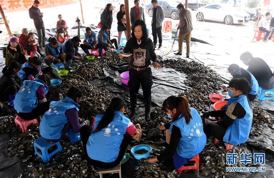 早在秦汉时期,当地就有采珠记载.